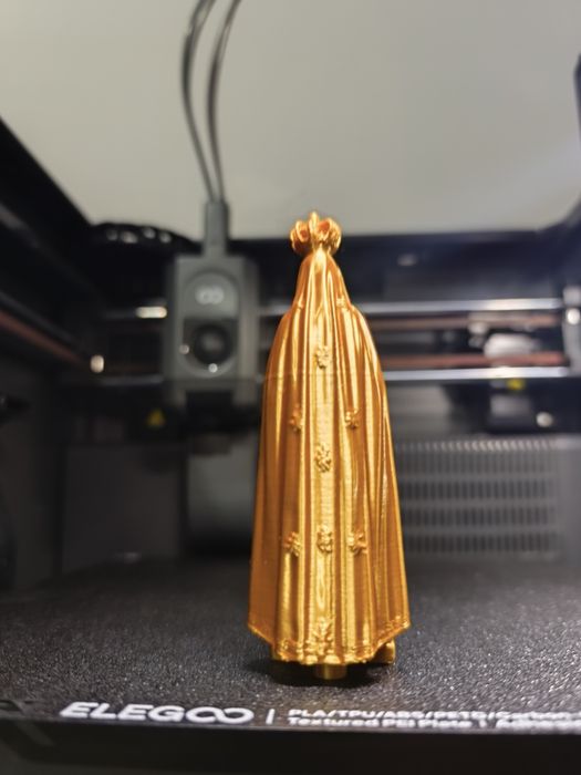 Imagem nossa senhora de Fátima Gold 3D