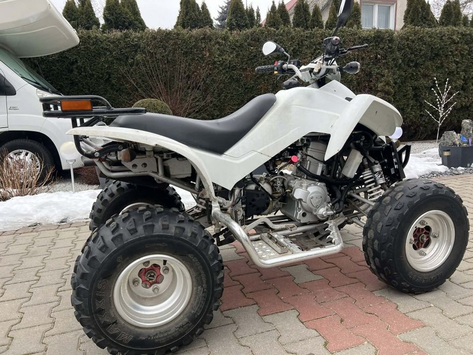 Dinli 300 Automat Homologacja