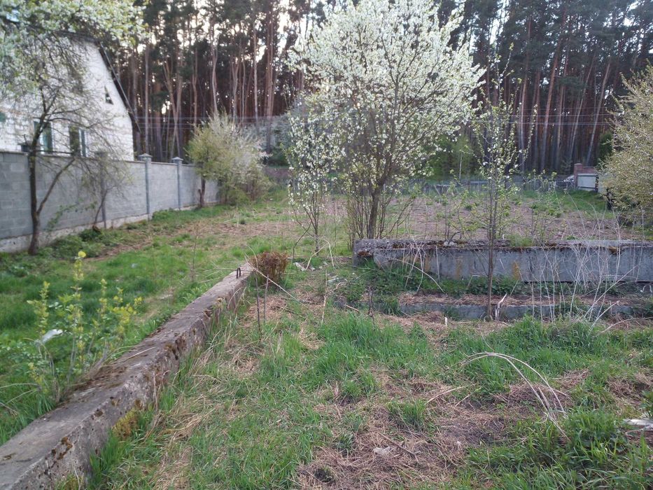 Продам земельну ділянку