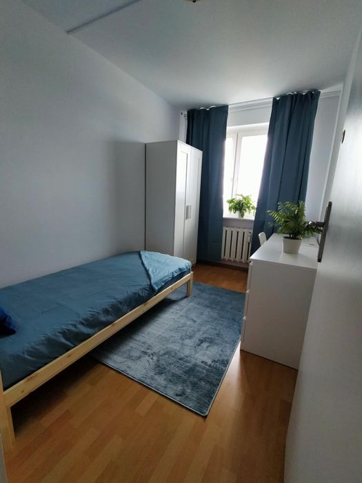 Pokój po remoncie 2 wolne