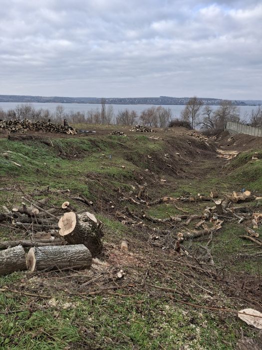 Спил деревьев Расчистка участка Корчеванае Цена