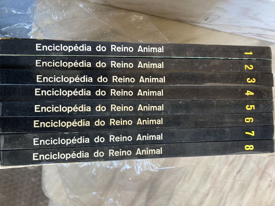 Enciclopédias Verbo Juvenil e Reino Animal