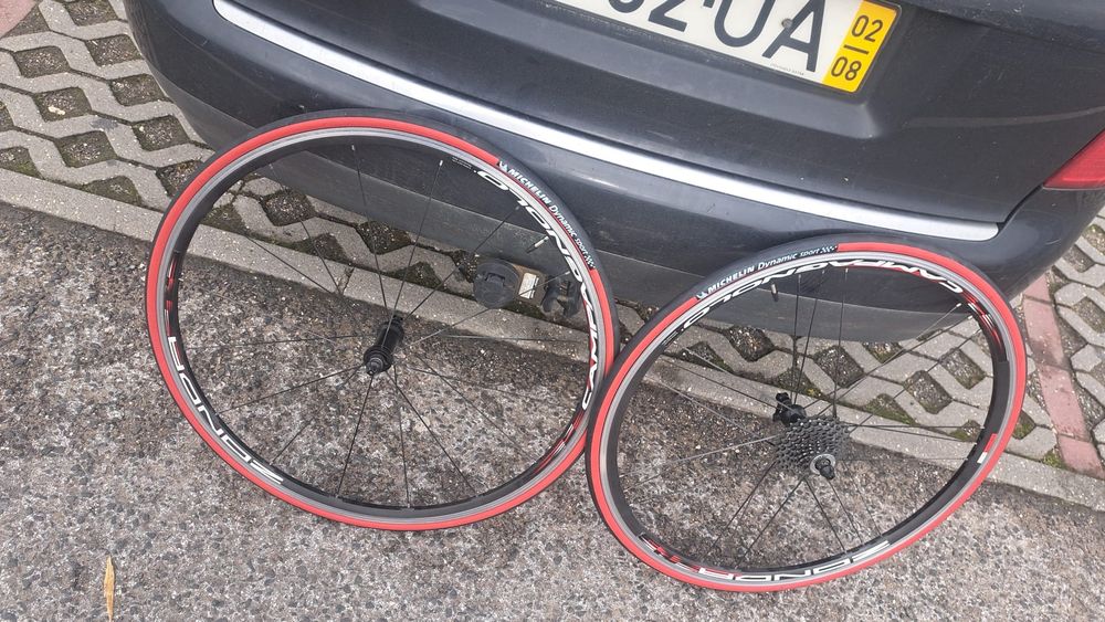 Moser 111 carbono