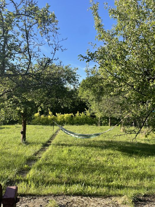 Sprzedam prawo do dzierżawy ogrodka dzialkowrgo ROD Czerwone Maki 470 m² Borowska Wroclaw Krzyki - Widok 2