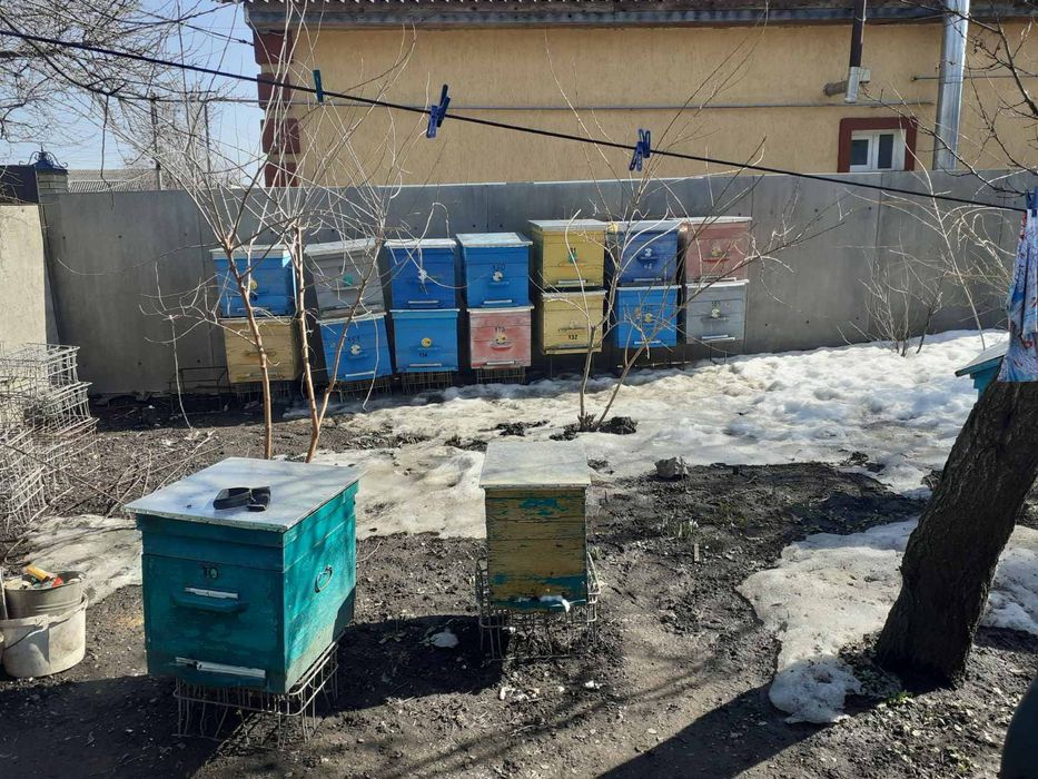 Продаются улья и подставки под улья