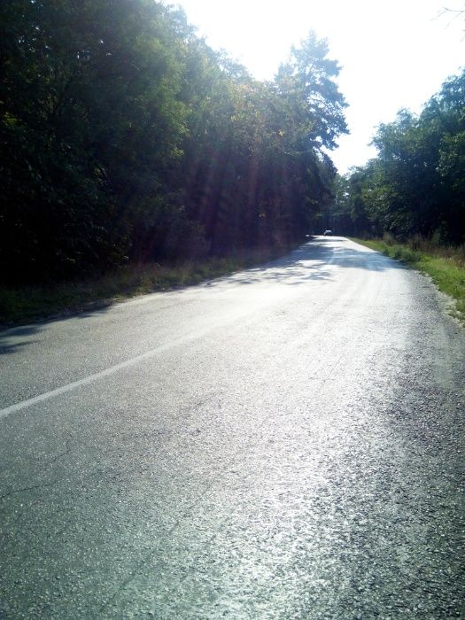 Без комісії. Риболовна – база відпочинку з озером (40+ га) під Києвом