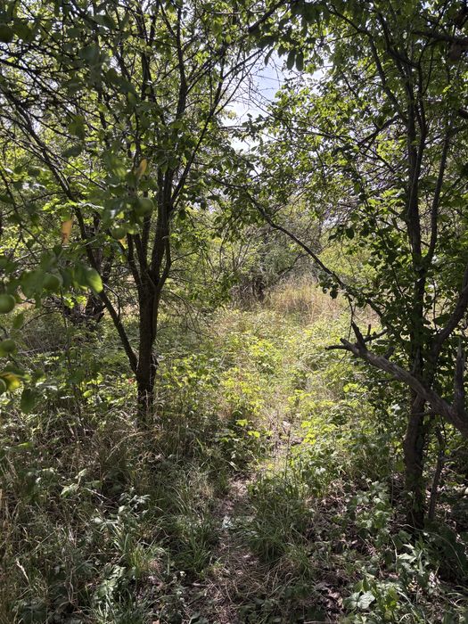 Działka 995 m² w Lulkowo koło Torunia – spokojna okolica, blisko natury