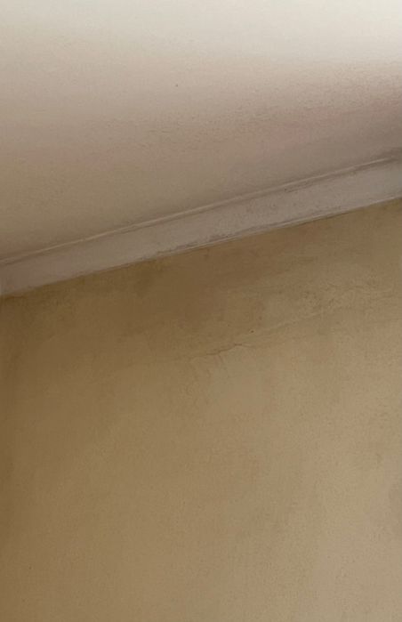 Casas limpas  e organizadas…