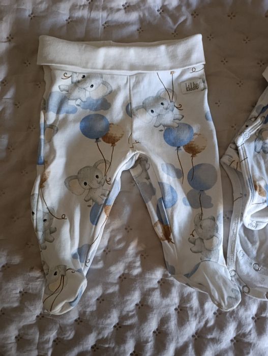 Body i spodenki cocodrillo 56