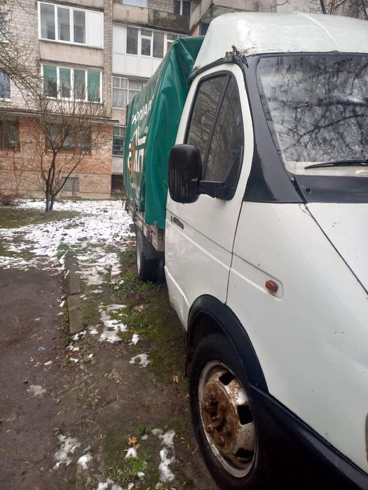 Газель в нормальному стані