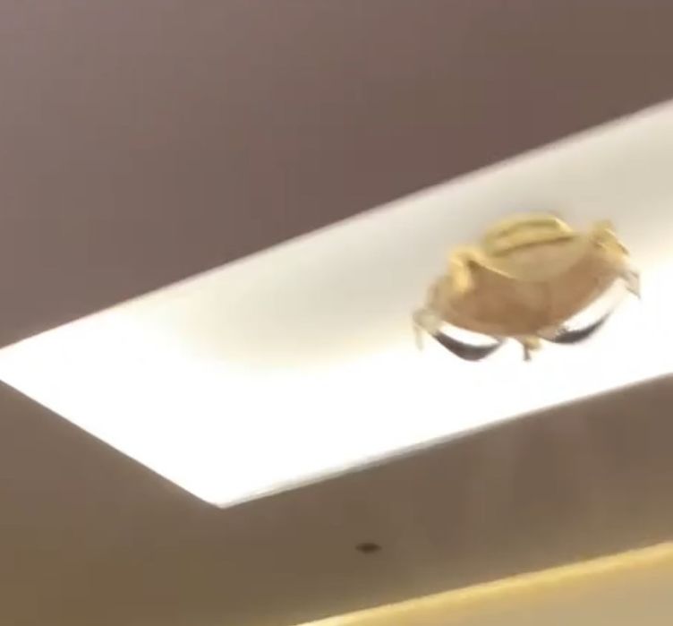 Iluminação de tetos