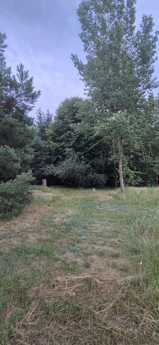 Działka z linią brzegową jeziora - WYNAJEM