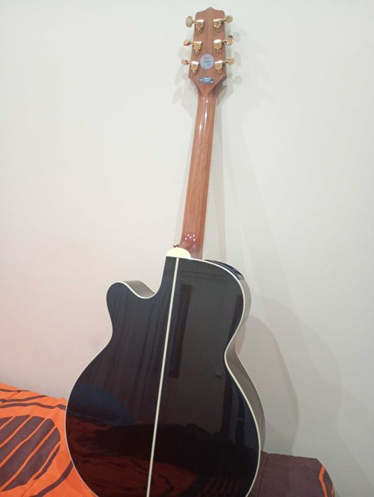 Takamine G Series