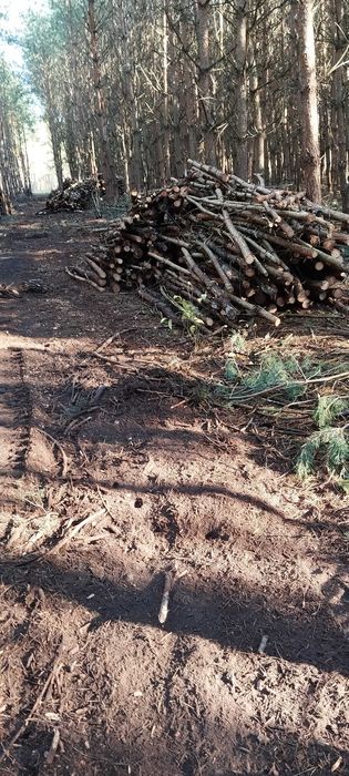 Sprzedam drewno opałowe