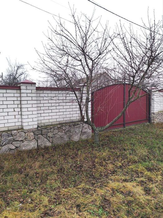 Продається великий будинок в мальовничий Царицанці