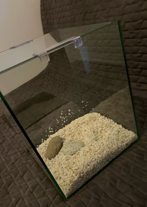 Aquário em vidro – design cúbico | 25 × 25 × 30 cm