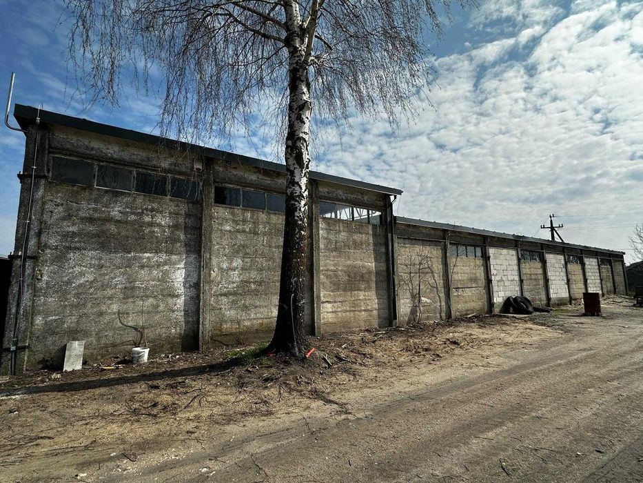Wynajmę hale , magazyny oraz plac.