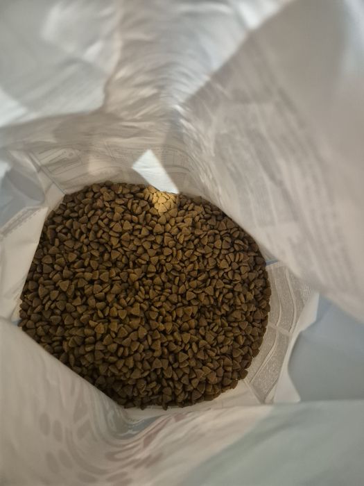 Royal Canin Puppy mini 2-10 miesięcy