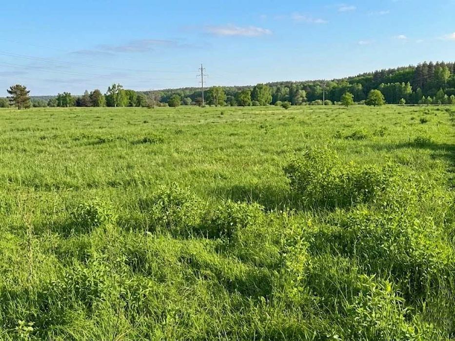 Продаж земельної ділянки 1,5982 га у Мироцькому !