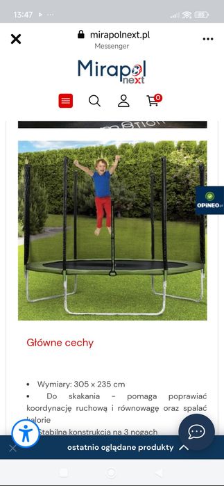 Trampolina 305x235