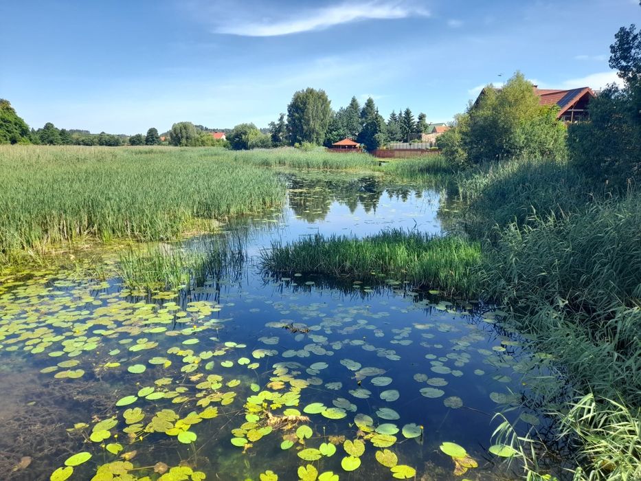 Domek na Mazurach  z sauną i jacuzzi w Stradunach