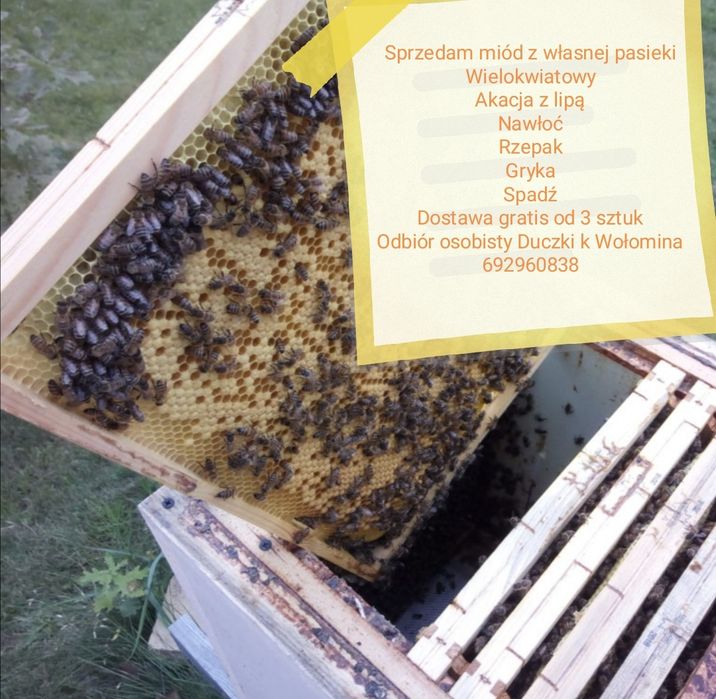 Prawdziwy miód z własnej pasieki