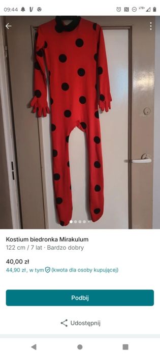 Przebranie biedronka