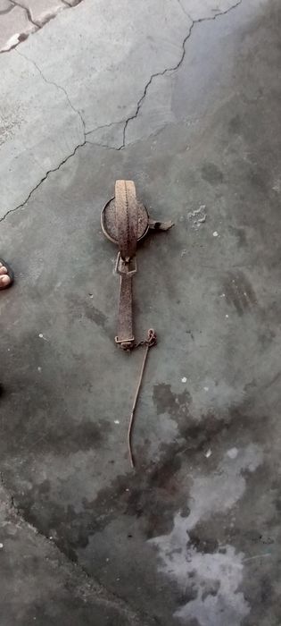 Cepo antigo completo