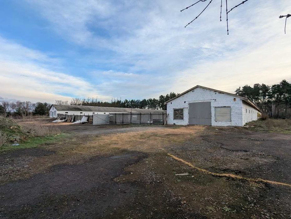 Продаж рентабельної птахоферми поблизу Городище. Кури як бізнес