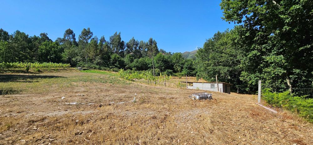 Terreno agrícola com 8.700 m² em Basto (S. Clemente), Celorico de Basto