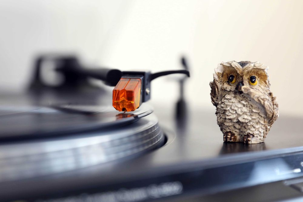 Technics SL-BD22 Gira discos