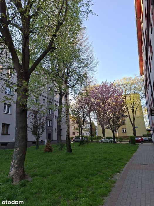 Po remoncie/2 pokoje/Czynsz 167 zł!/Śródmieście Bytomia