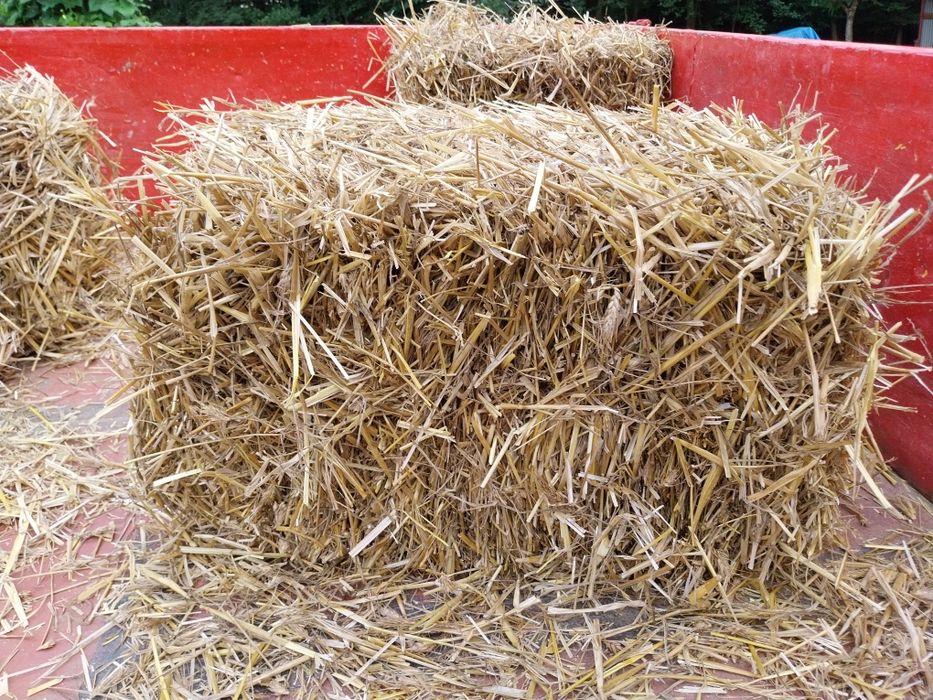 .        ..Sloma kostka