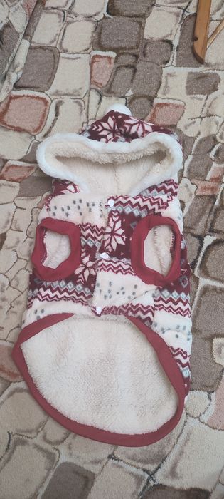 Новорічний одяг для вашого улюбленця