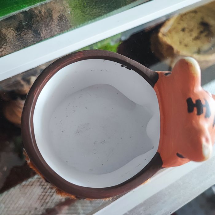 Tygrysek, osłonka na doniczkę