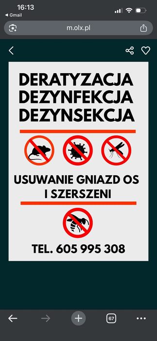 Usuwanie gniazd os i szerszeni, deratyzacja, dezynfekcja