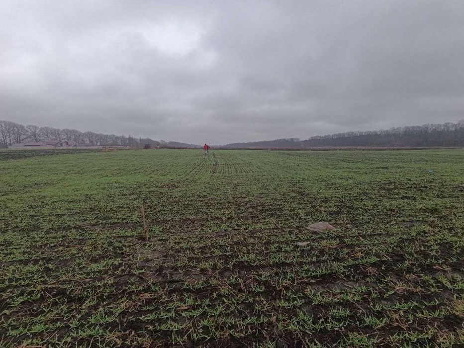 Земельна ділянка  Грузевиця поряд траси Н