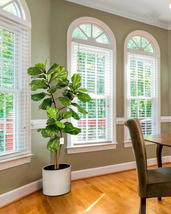 Leflos 150 cm sztuczna fikus w doniczce do wnętrz