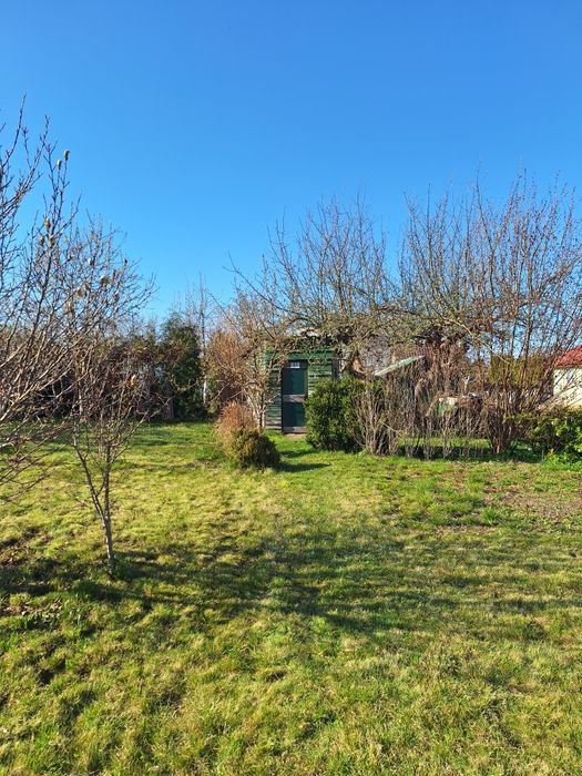 ROD „Cytrus” Świdwin – działka 300 m²