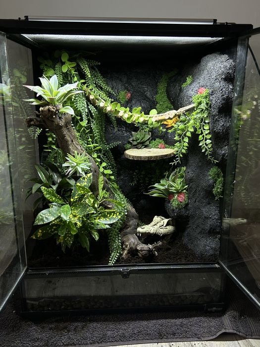 Terrarium Na Zamówienie!