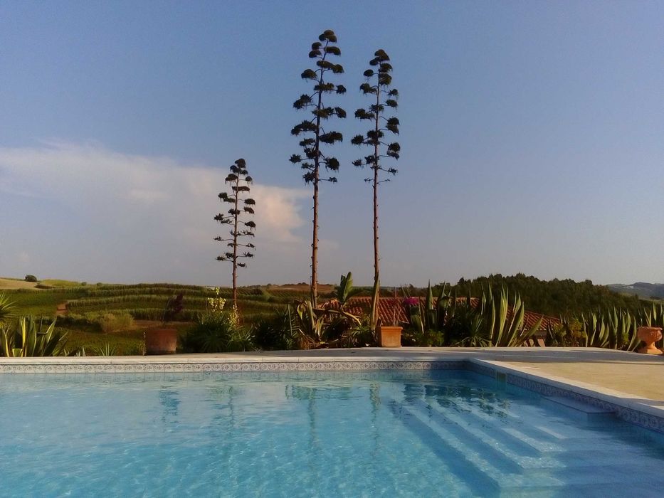 Quinta para casamentos, batizados, aniversários, etc