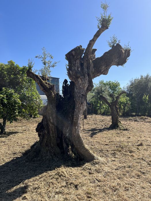 Lote de terreno super bem localizado a bom preço