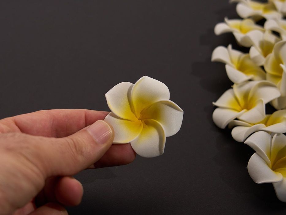 Flores Pluméria (Frangipani) em espuma para decoração