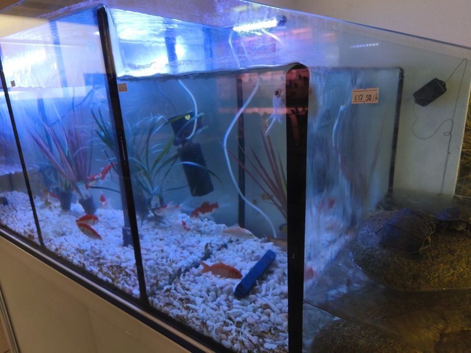 Aquário cascata excelente