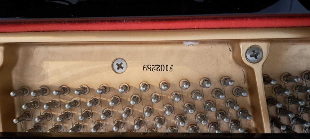 Piano de Cauda Acústico Kawai (Baby Grand) GM10