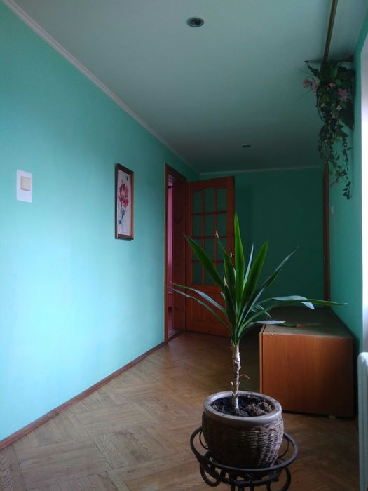 Продаж будинку, 2 пов. 240 кв.м. Без комісії! (5 хв. до центру пішки). - View 4