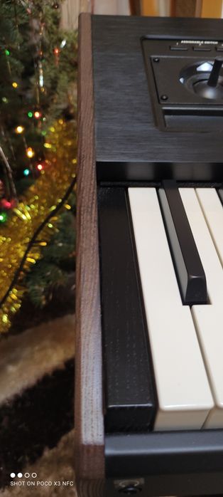 Korg PA 5x 88 +300styli