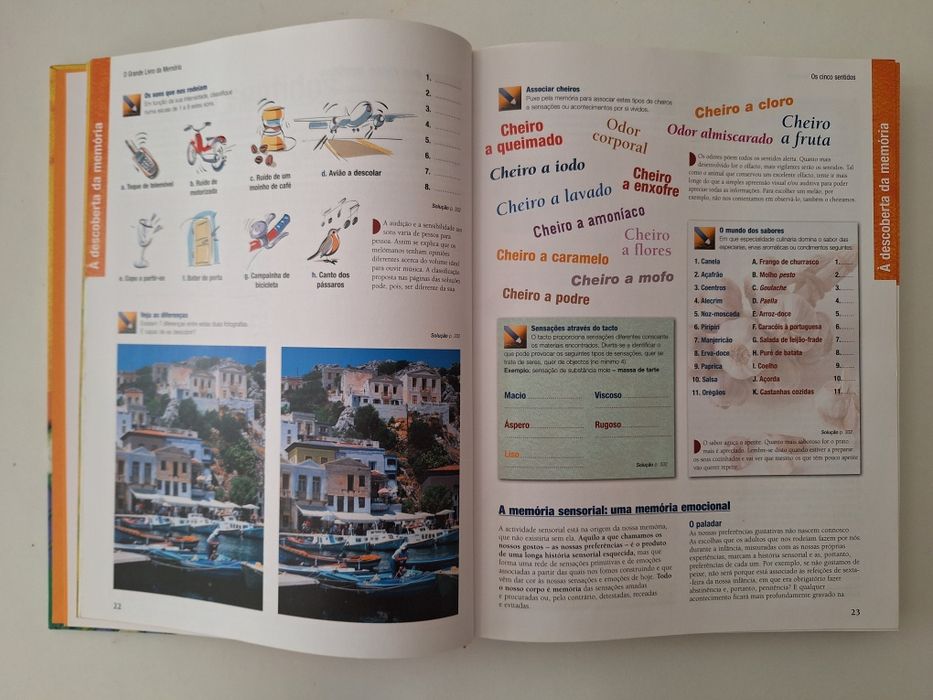 Livro : 101 maneiras de melhorar a sua memória