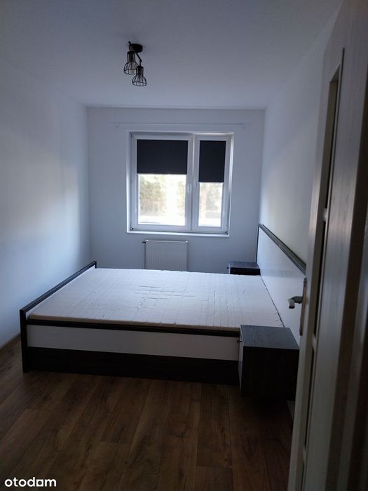 Przestronne mieszkanie z balkonem w centrum miasta