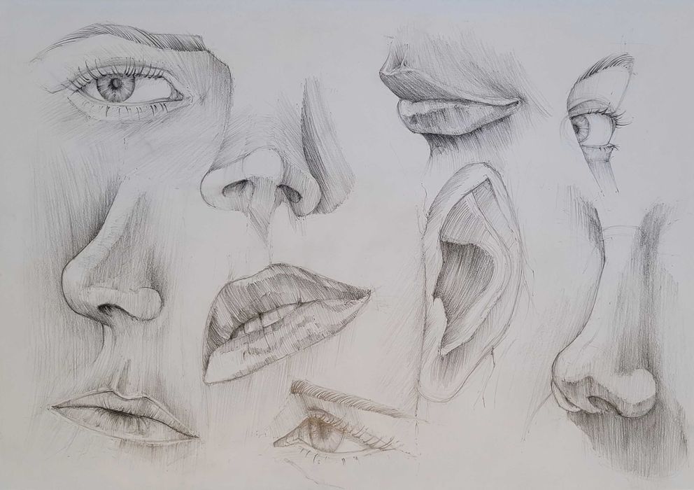 Rysunek studium ołówkiem